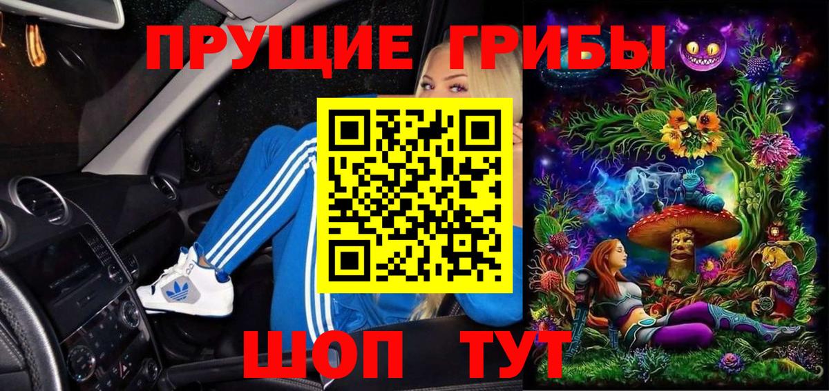 Псилоцибиновые грибы GOLDEN TEACHER  Вход с VPN  Чернушка 