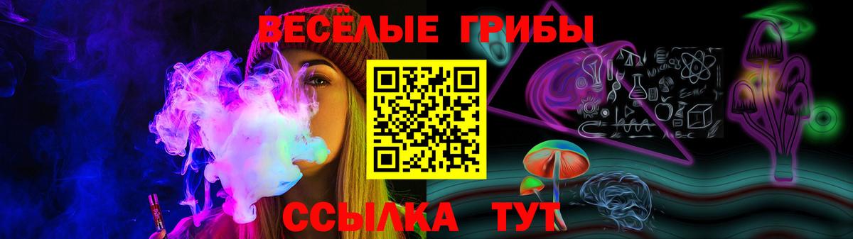 Псилоцибиновые грибы мицелий Чернушка