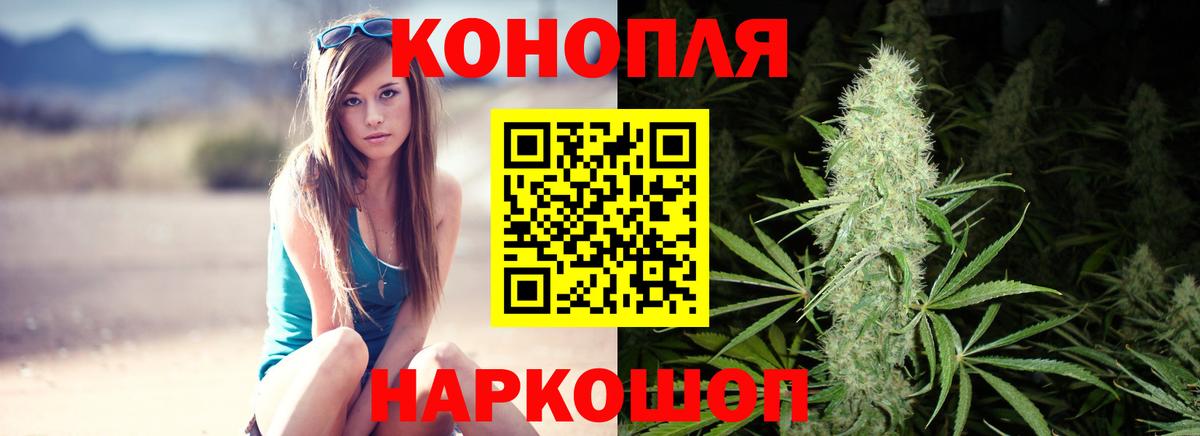 Марихуана семена  Бошки Шишки гибрид  Шишки марихуана сатива  Вход с VPN  Бошки Шишки гибрид  Чернушка 